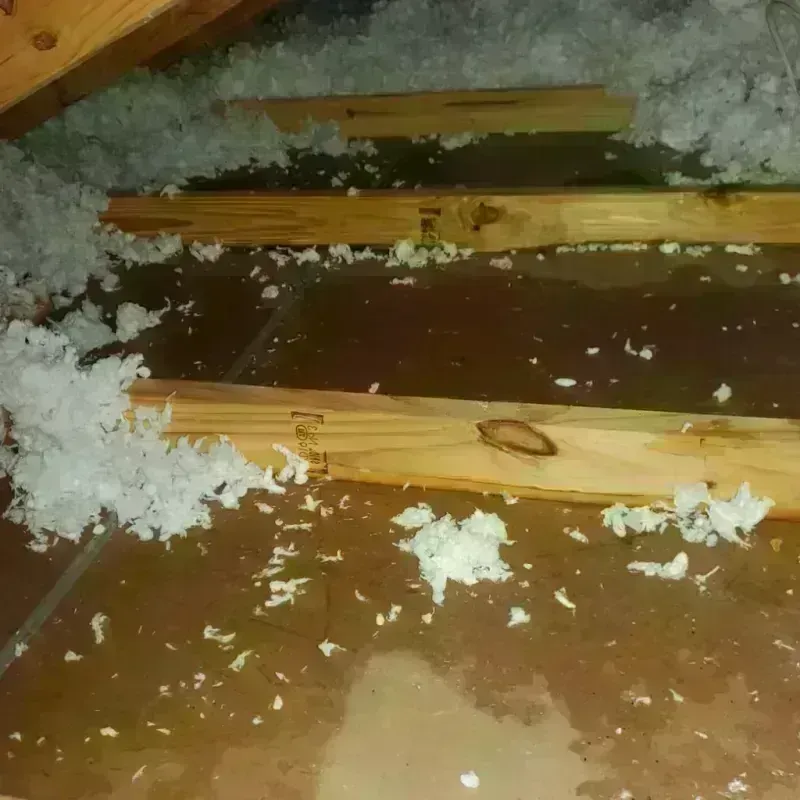 Attic Water Damage in Lyndon, VT